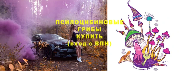 кокс Аркадак